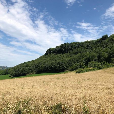 Agriturismo L'Esinante Cupramontana Exteriör bild