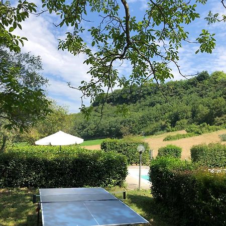 Agriturismo L'Esinante Cupramontana Exteriör bild