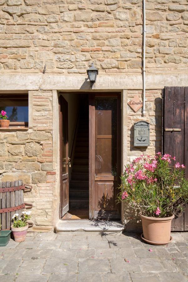 Agriturismo L'Esinante Cupramontana Exteriör bild
