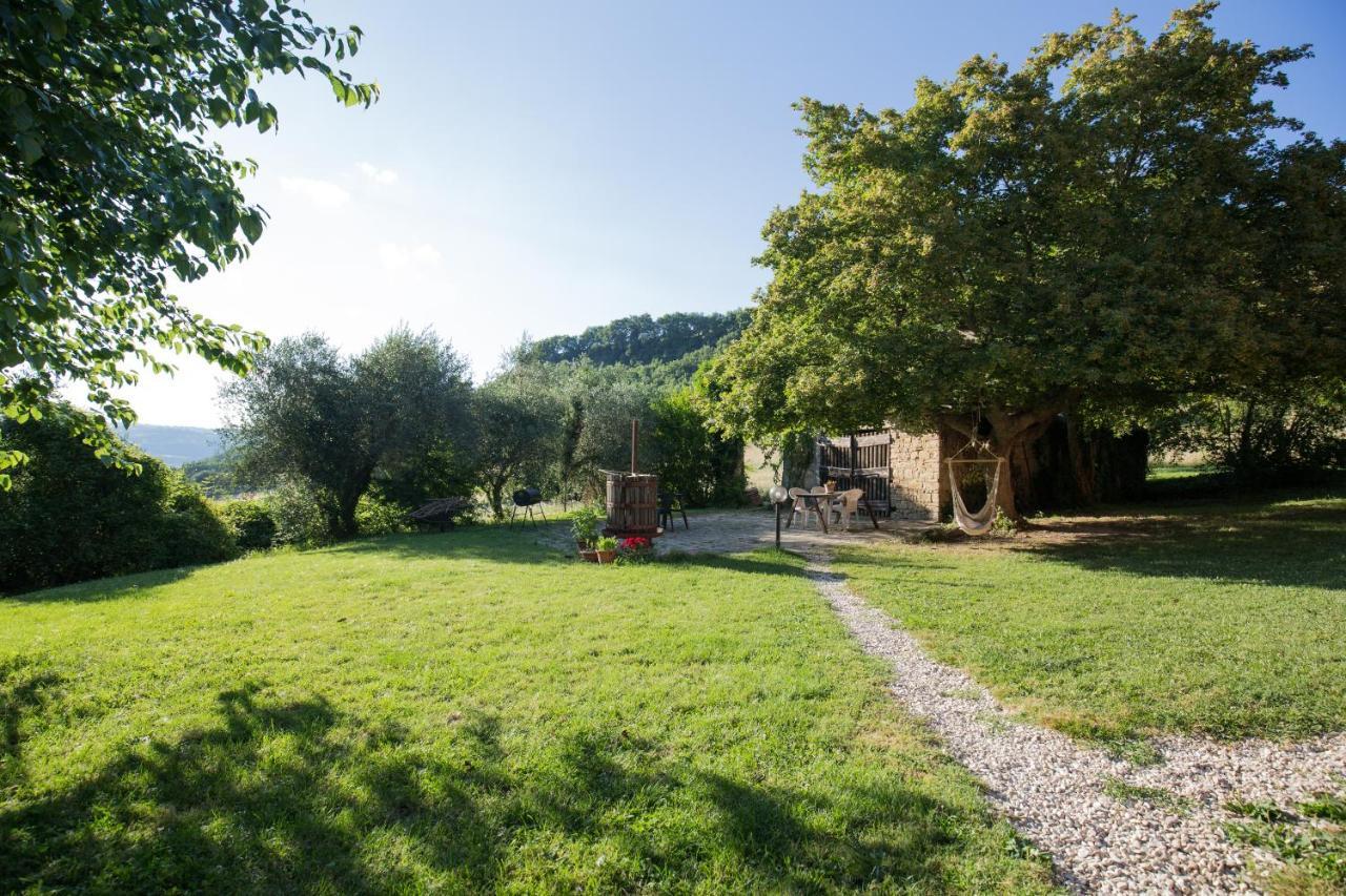 Agriturismo L'Esinante Cupramontana Exteriör bild